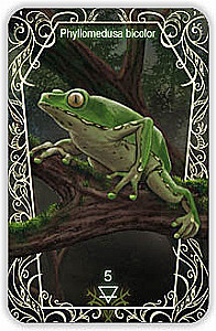Oracle 44 Death Messenger (divination cards with instructions)