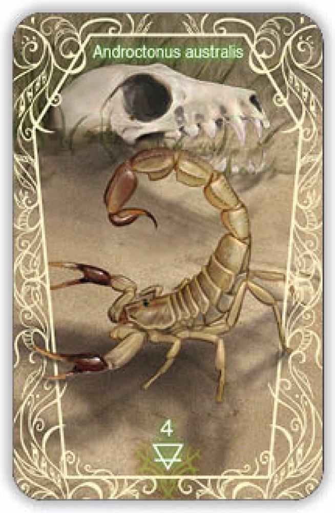 Oracle 44 Death Messenger (divination cards with instructions)