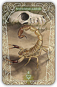 Oracle 44 Death Messenger (divination cards with instructions)