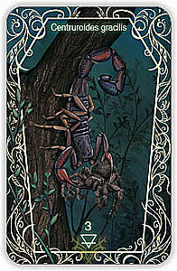 Oracle 44 Death Messenger (divination cards with instructions)
