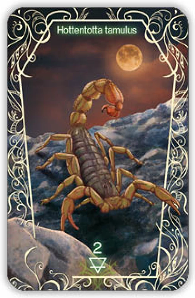 Oracle 44 Death Messenger (divination cards with instructions)