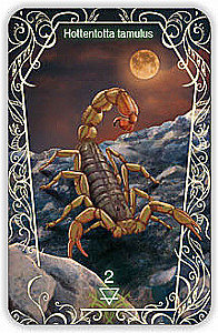 Oracle 44 Death Messenger (divination cards with instructions)