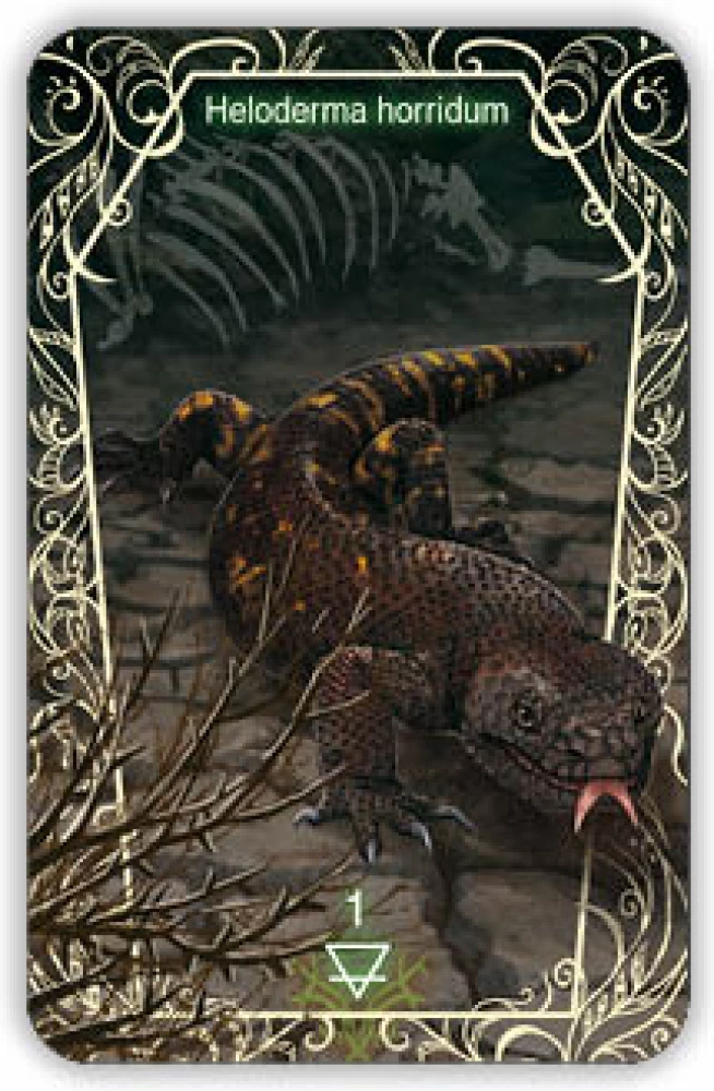 Oracle 44 Death Messenger (divination cards with instructions)