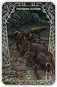 Oracle 44 Death Messenger (divination cards with instructions)