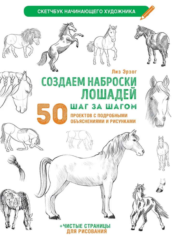 Sketchbook for the Beginning Artist. Creating Horse Sketches Step by Step