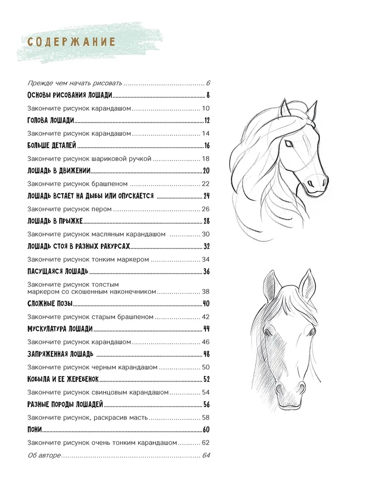 Sketchbook for the Beginning Artist. Creating Horse Sketches Step by Step