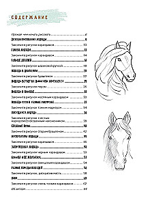 Sketchbook for the Beginning Artist. Creating Horse Sketches Step by Step