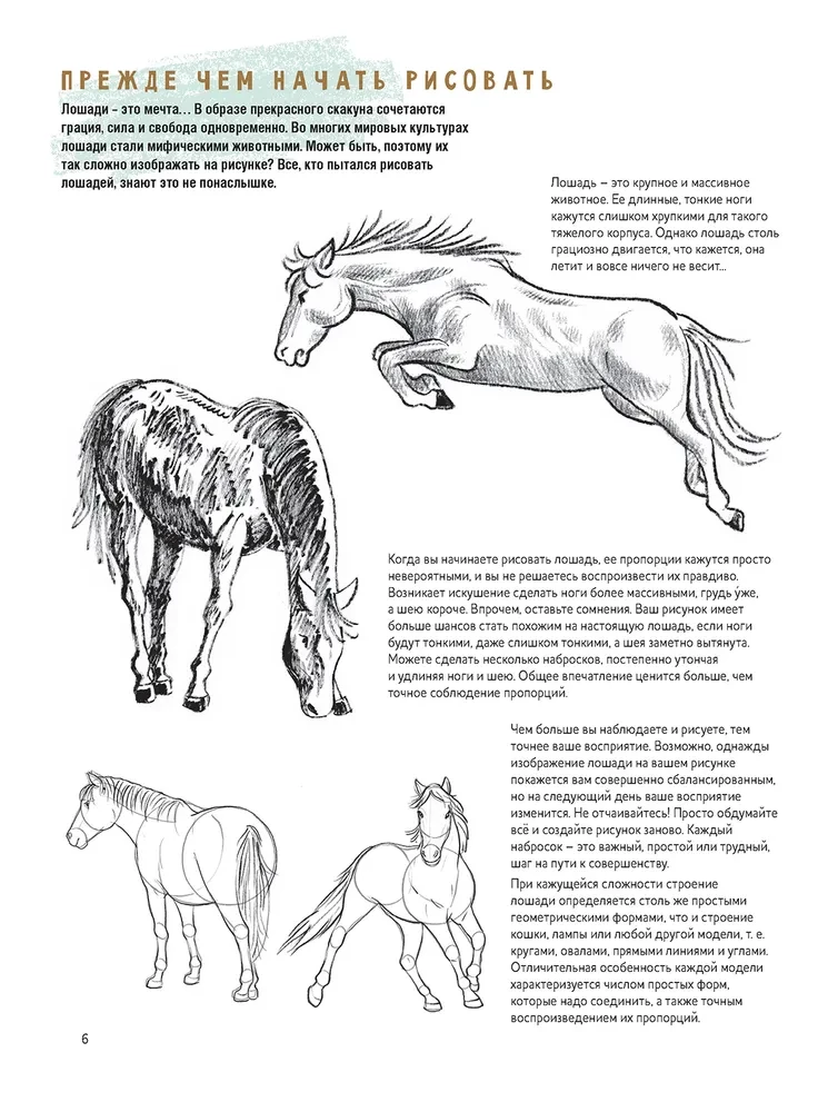 Sketchbook for the Beginning Artist. Creating Horse Sketches Step by Step