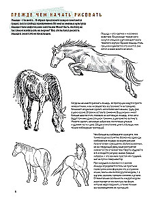 Sketchbook for the Beginning Artist. Creating Horse Sketches Step by Step