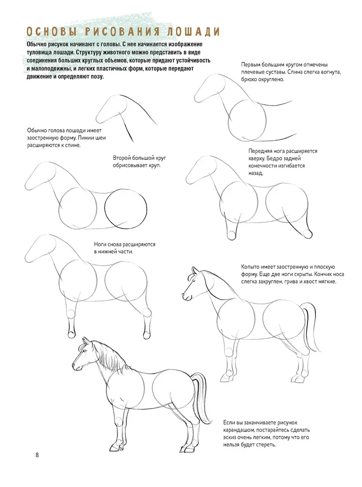 Sketchbook for the Beginning Artist. Creating Horse Sketches Step by Step