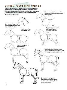 Sketchbook for the Beginning Artist. Creating Horse Sketches Step by Step