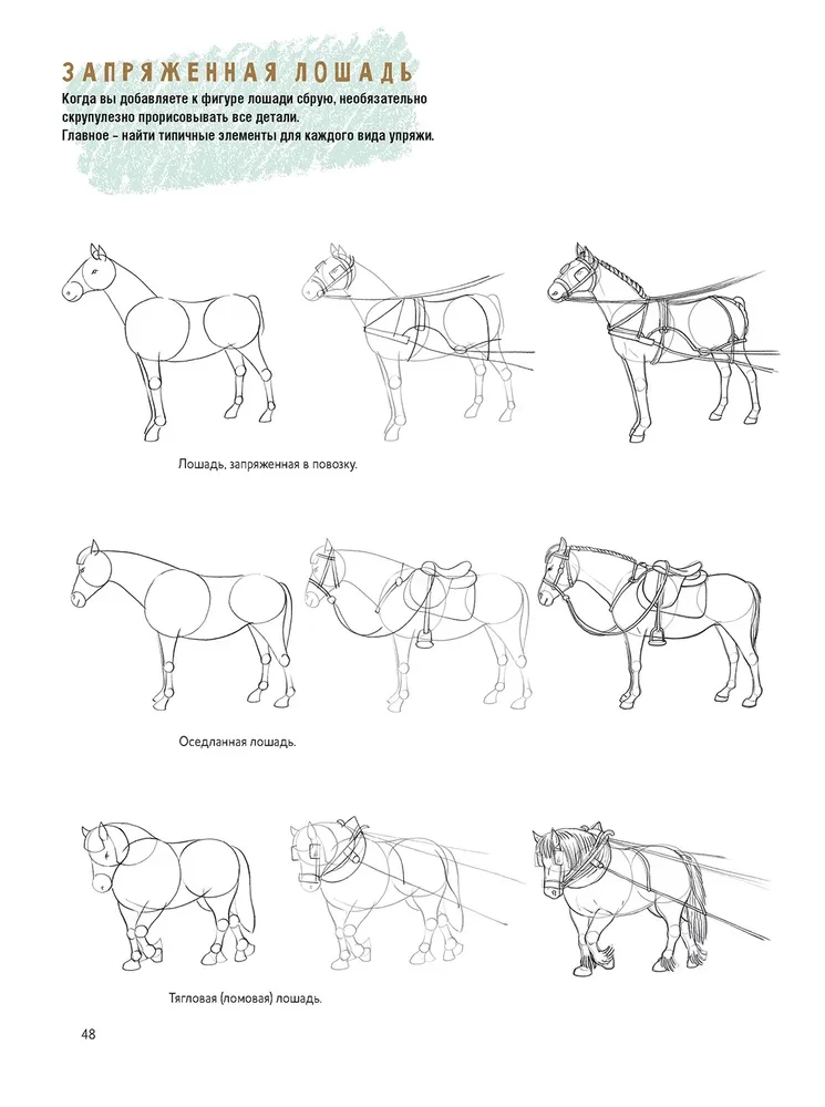 Sketchbook for the Beginning Artist. Creating Horse Sketches Step by Step