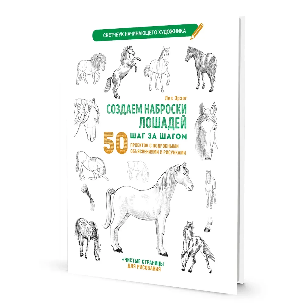 Sketchbook for the Beginning Artist. Creating Horse Sketches Step by Step