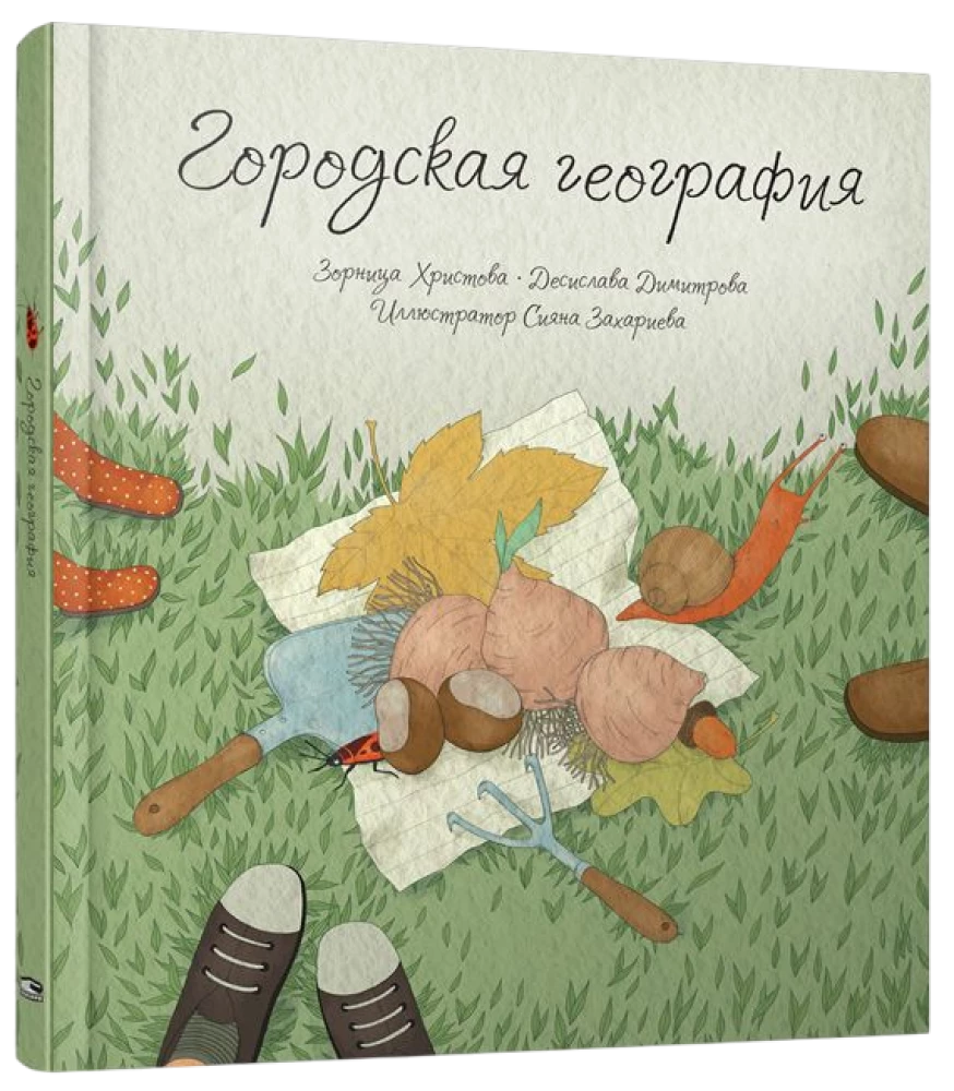 Miejska geografia