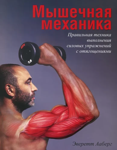 Muscle Mechanics