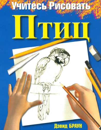 Learn to Draw Birds