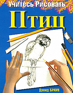 Learn to Draw Birds