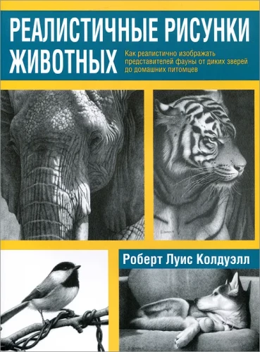 Realistic Animal Drawings