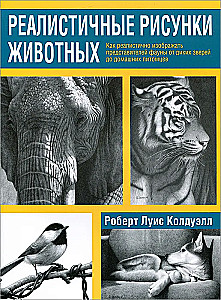 Realistic Animal Drawings