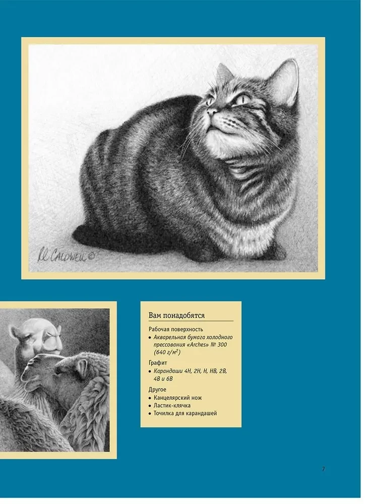 Realistic Animal Drawings