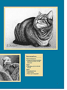 Realistic Animal Drawings