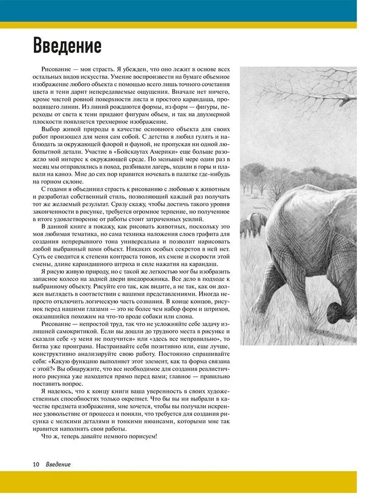 Realistic Animal Drawings