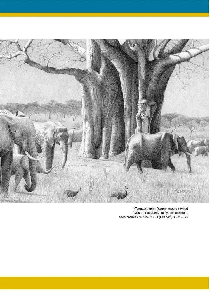 Realistic Animal Drawings