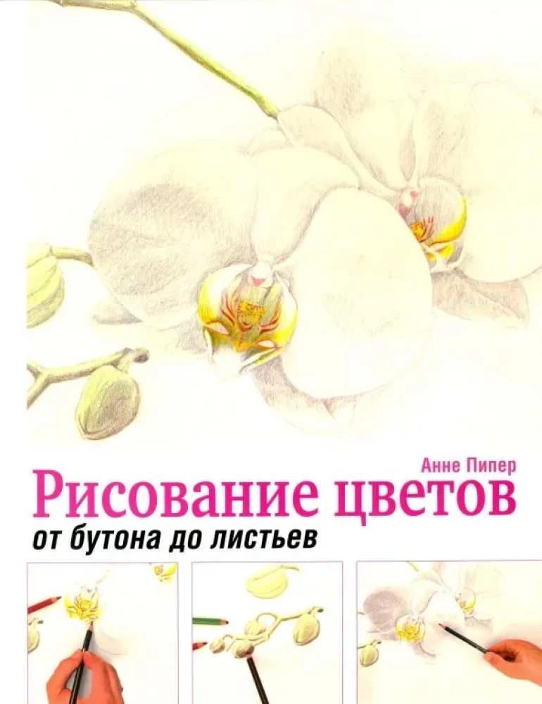 Drawing Flowers from Bud to Leaves