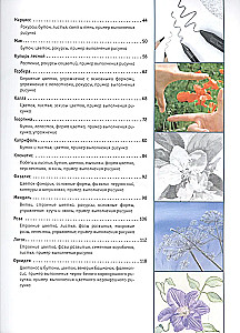 Drawing Flowers from Bud to Leaves