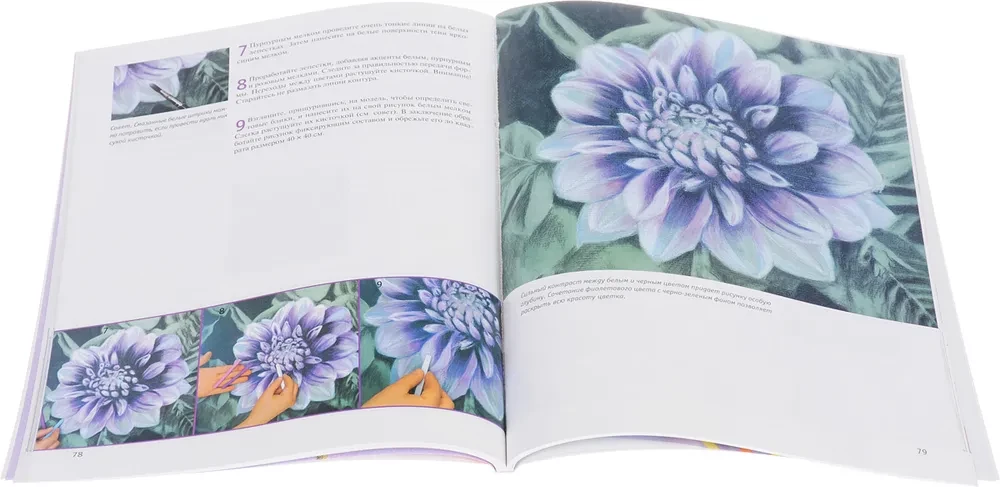 Drawing Flowers from Bud to Leaves