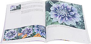 Drawing Flowers from Bud to Leaves