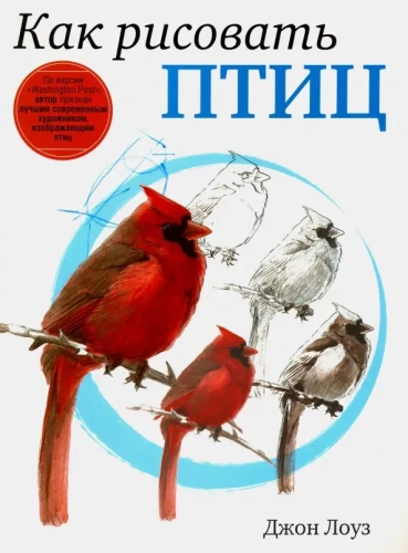 How to Draw Birds