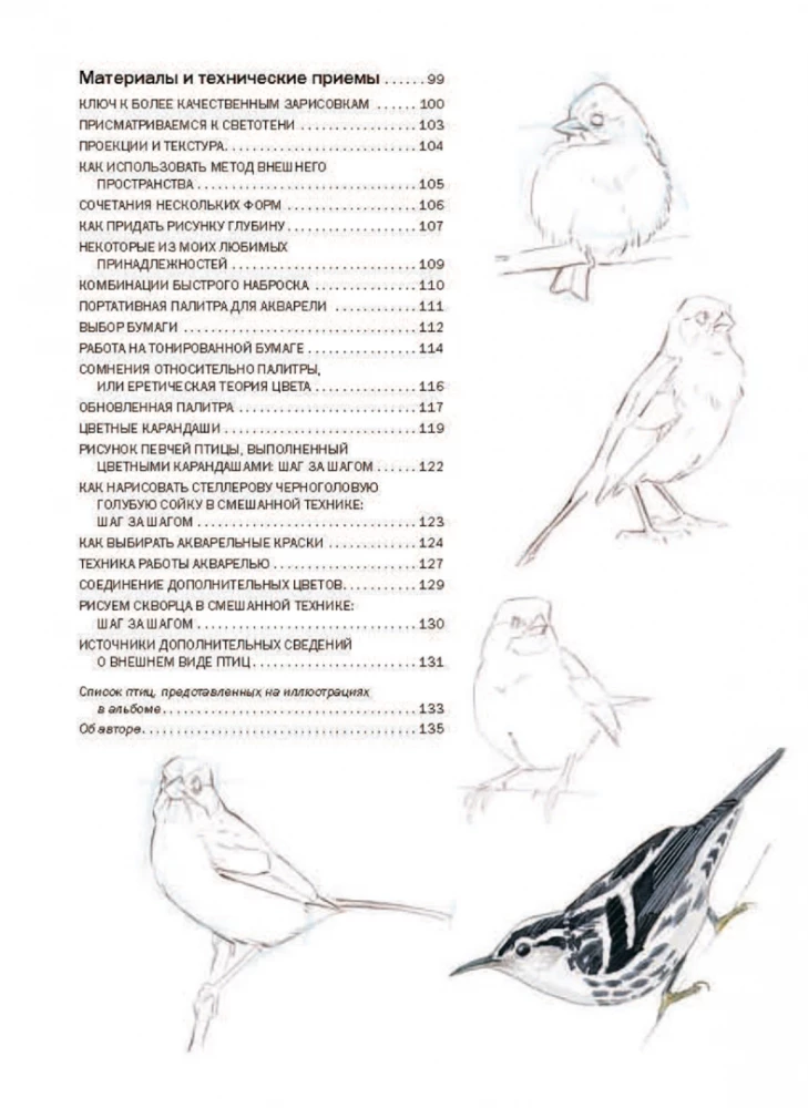How to Draw Birds