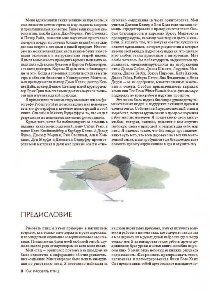 How to Draw Birds