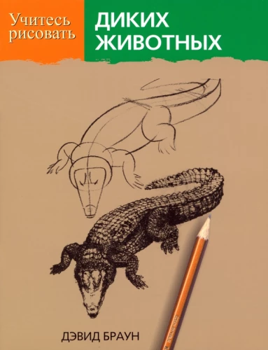 Learn to Draw Wild Animals