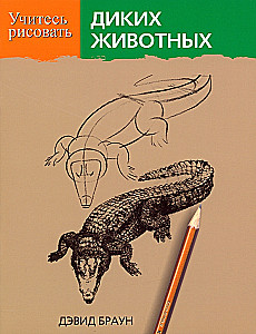 Learn to Draw Wild Animals