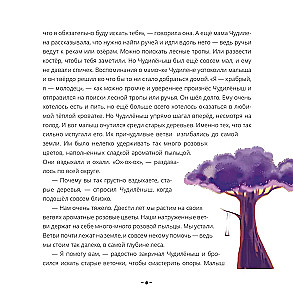 The Wonderling from the Pink Forest