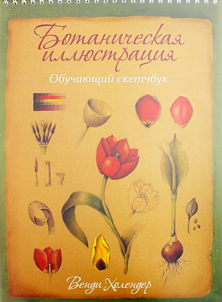 Botanical Illustration. Training Sketchbook