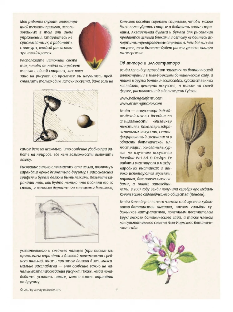 Botanical Illustration. Training Sketchbook