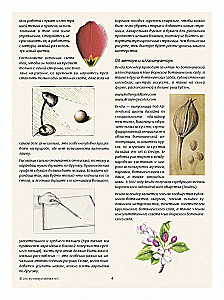 Botanical Illustration. Training Sketchbook