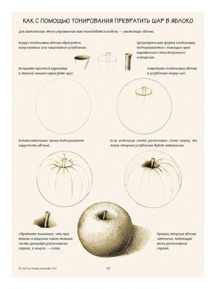 Botanical Illustration. Training Sketchbook