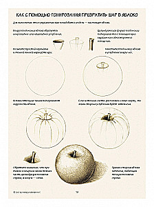 Botanical Illustration. Training Sketchbook