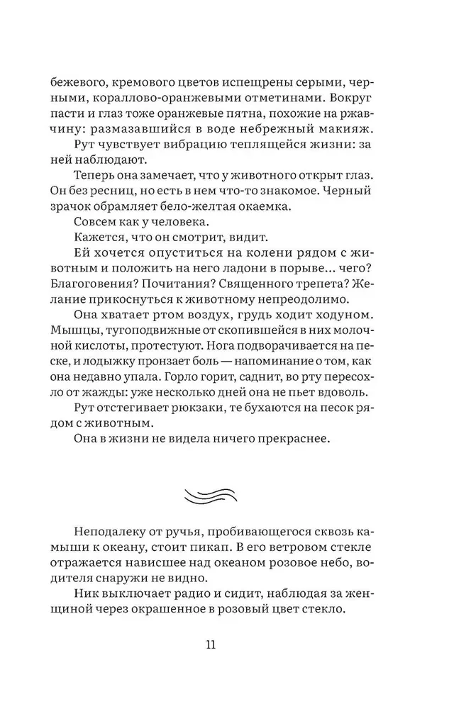 Ostrov