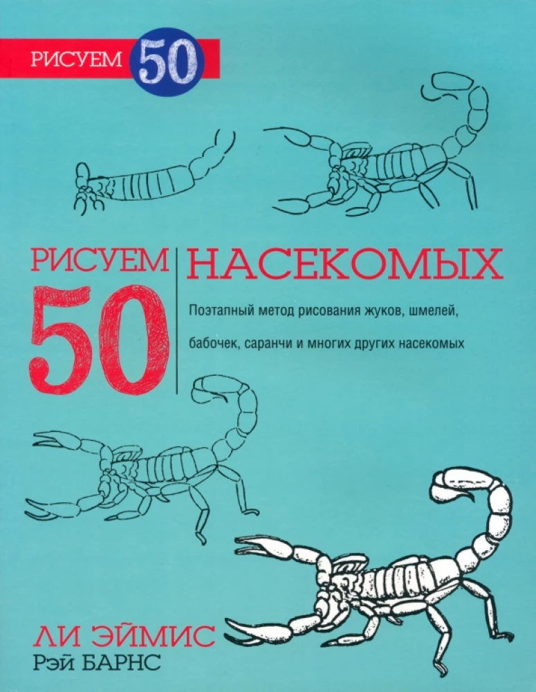 Drawing 50 Insects
