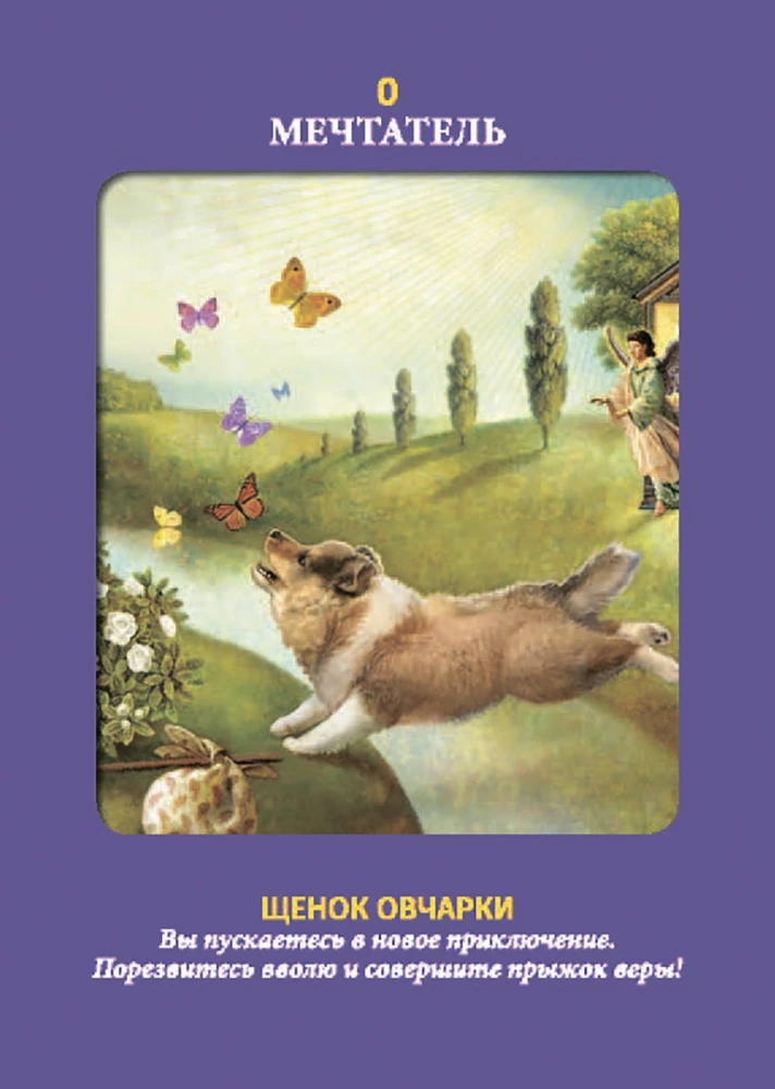Animal Tarot (Instruction +78 Cards)