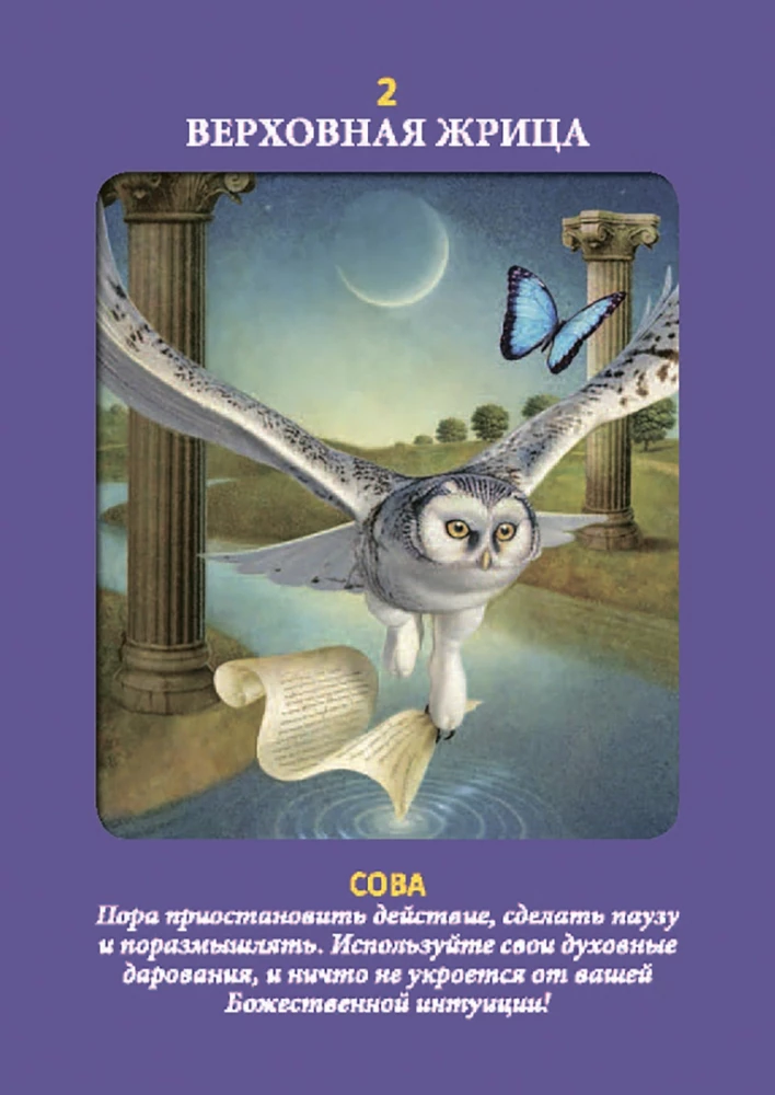 Animal Tarot (Instruction +78 Cards)