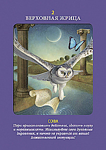 Animal Tarot (Instruction +78 Cards)