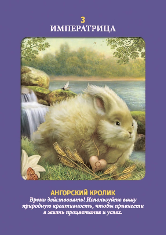 Animal Tarot (Instruction +78 Cards)