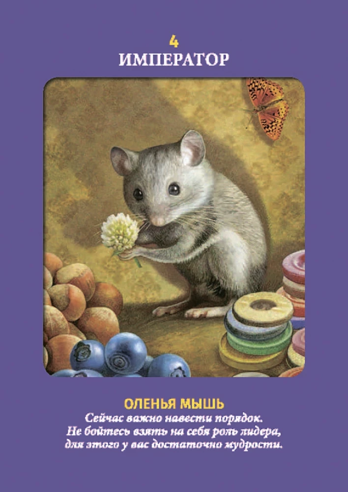 Animal Tarot (Instruction +78 Cards)