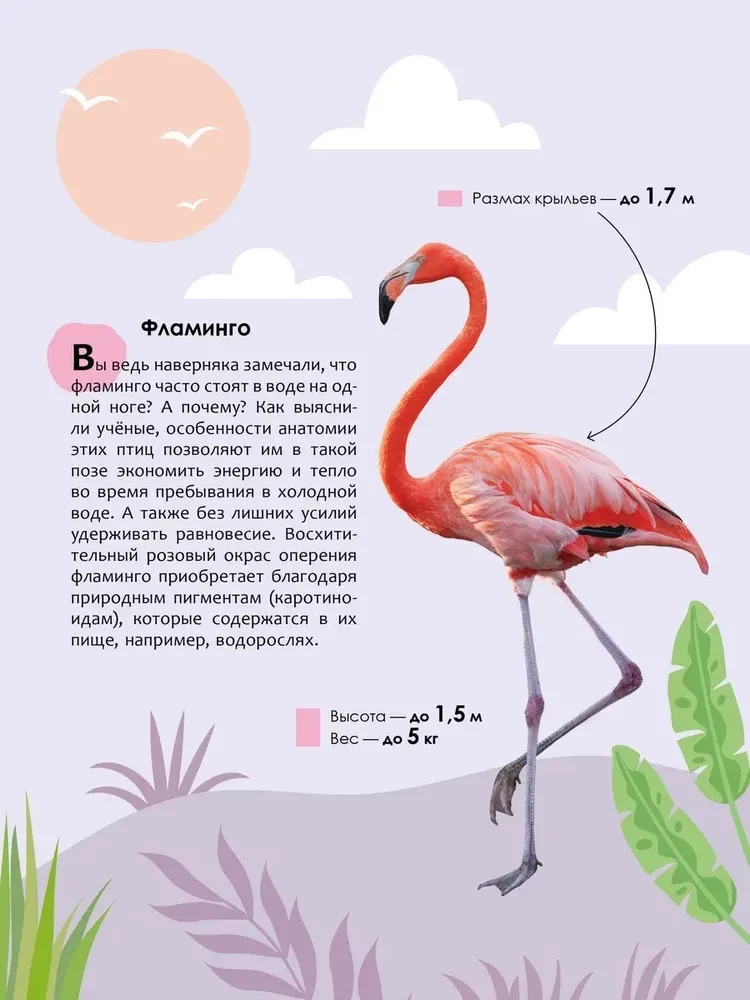Children's Encyclopedia. Animals